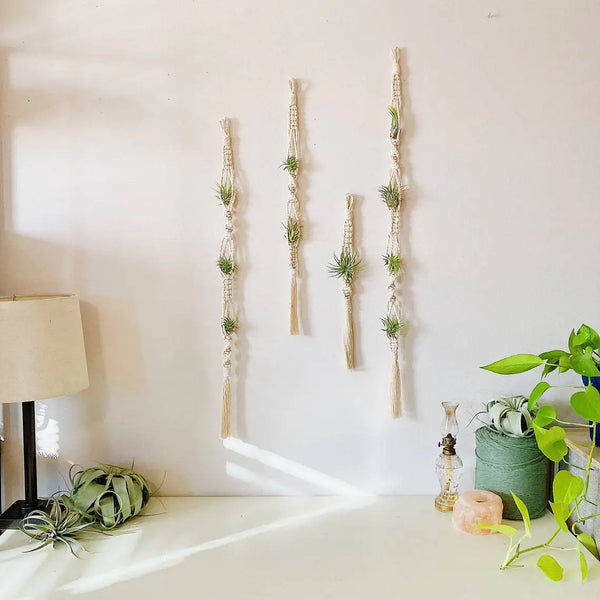 Suspension Porte-Plantes en Macramé pour Plantes